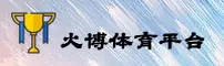 使用指南与常见问题